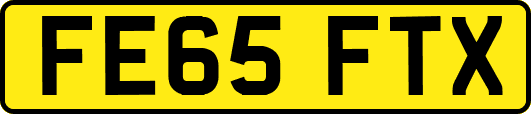 FE65FTX