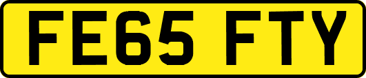 FE65FTY