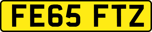 FE65FTZ