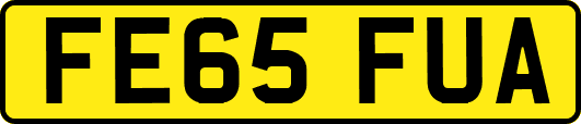 FE65FUA