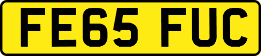 FE65FUC