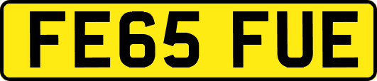 FE65FUE