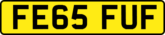FE65FUF