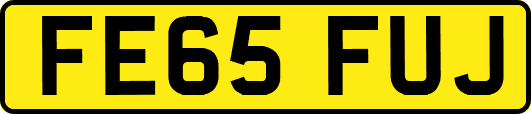 FE65FUJ