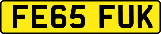 FE65FUK