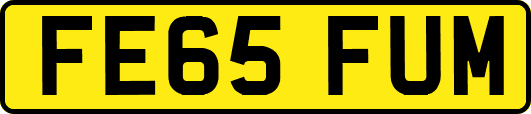 FE65FUM