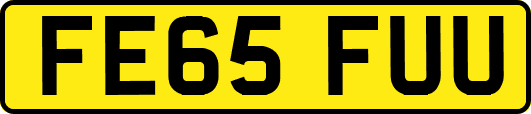 FE65FUU