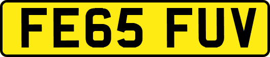 FE65FUV