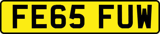 FE65FUW