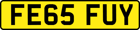 FE65FUY