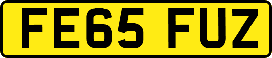 FE65FUZ