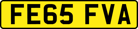 FE65FVA