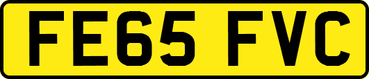 FE65FVC