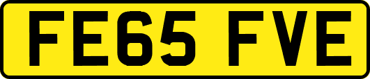 FE65FVE