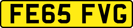 FE65FVG