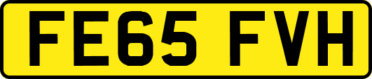 FE65FVH