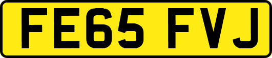 FE65FVJ