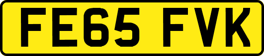 FE65FVK