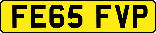 FE65FVP