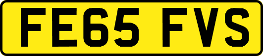 FE65FVS