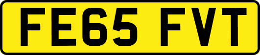 FE65FVT