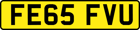 FE65FVU