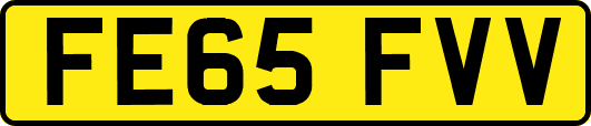 FE65FVV