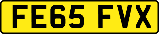 FE65FVX