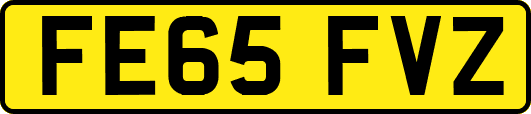 FE65FVZ