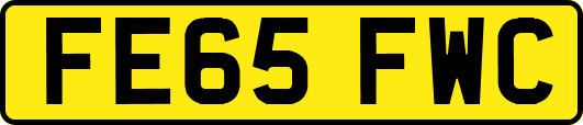 FE65FWC