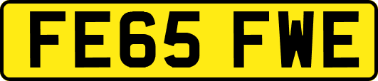 FE65FWE
