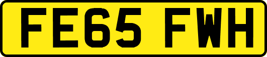 FE65FWH