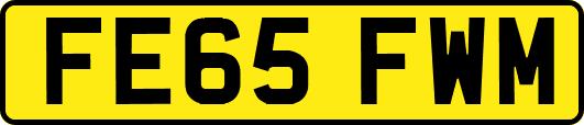 FE65FWM