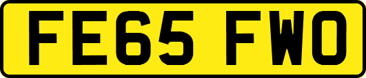 FE65FWO