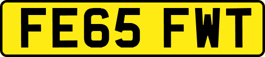 FE65FWT