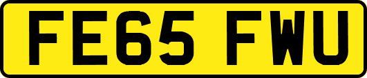 FE65FWU