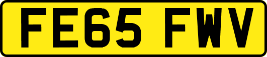 FE65FWV