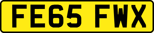 FE65FWX