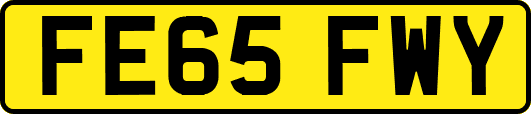 FE65FWY