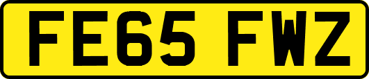 FE65FWZ