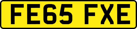 FE65FXE