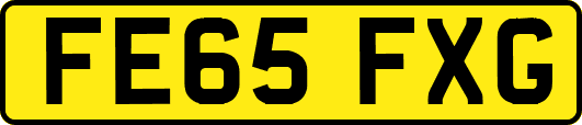 FE65FXG