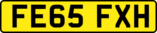 FE65FXH
