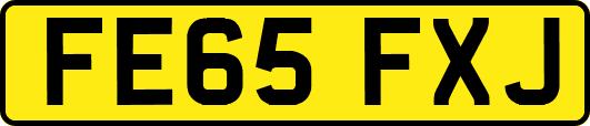 FE65FXJ