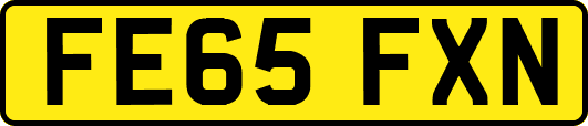 FE65FXN
