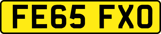 FE65FXO