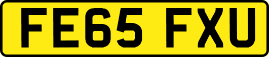 FE65FXU