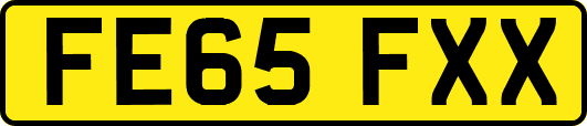 FE65FXX