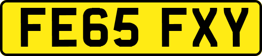 FE65FXY