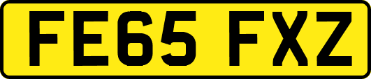 FE65FXZ